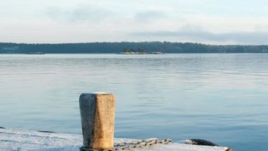 pin for how to destress