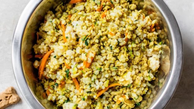 dog food in a metal dish